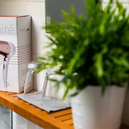 Wellness Penzion-restaurace U Pstrosa Apartment Vsemyslice
