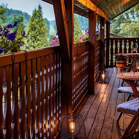 Wellness Penzion-restaurace U Pstrosa *