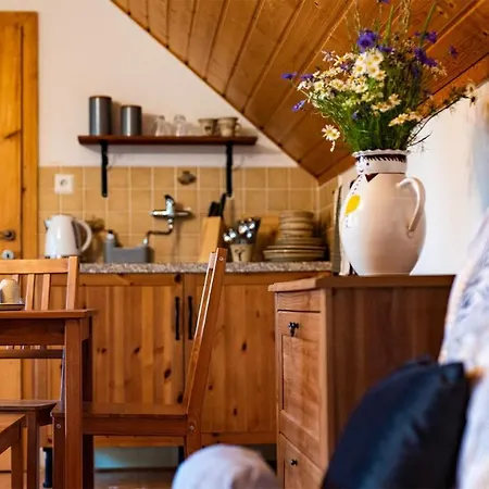 Wellness Penzion-restaurace U Pstrosa Vsemyslice