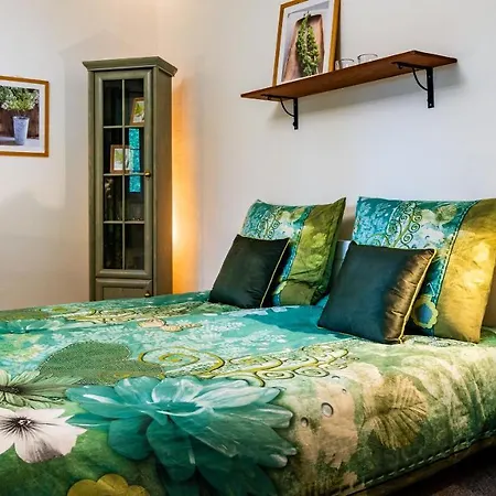Wellness Penzion-restaurace U Pstrosa Apartment Vsemyslice
