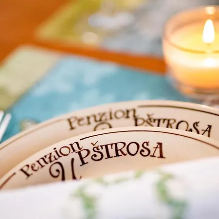 Wellness Penzion-restaurace U Pstrosa Apartment Vsemyslice