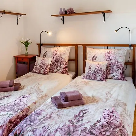 Wellness Penzion-restaurace U Pstrosa * Vsemyslice